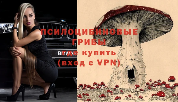 mdma Зерноград